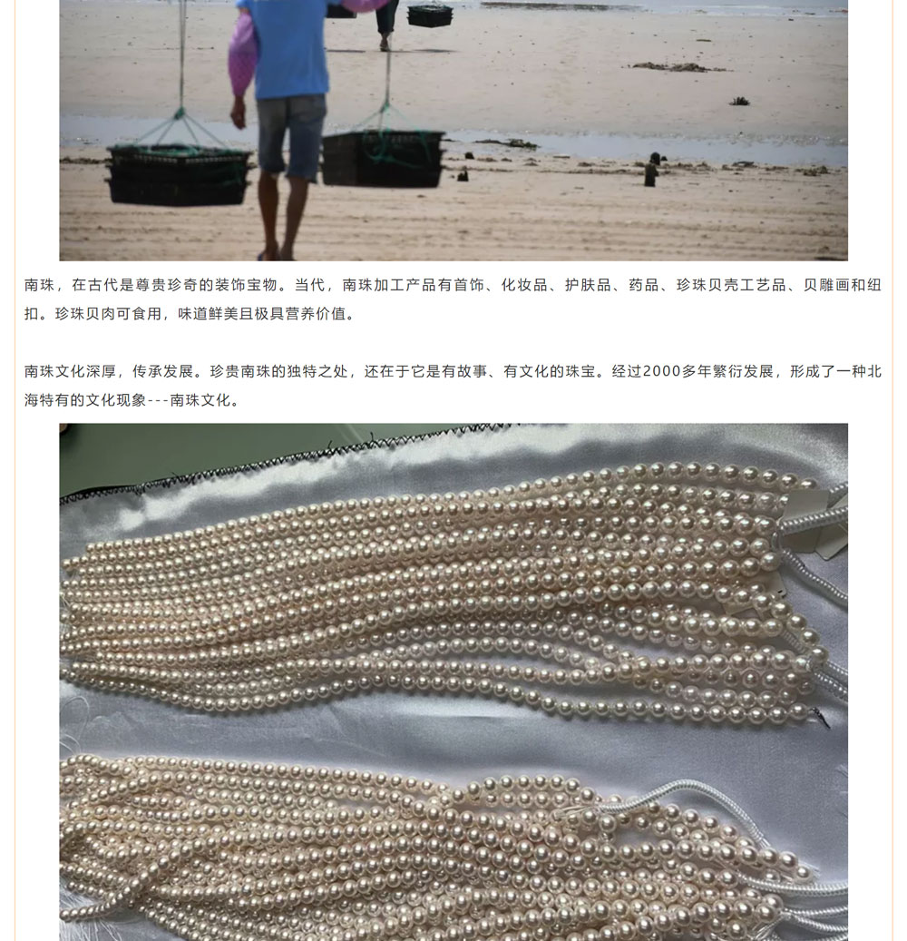古老南珠，綻放異彩